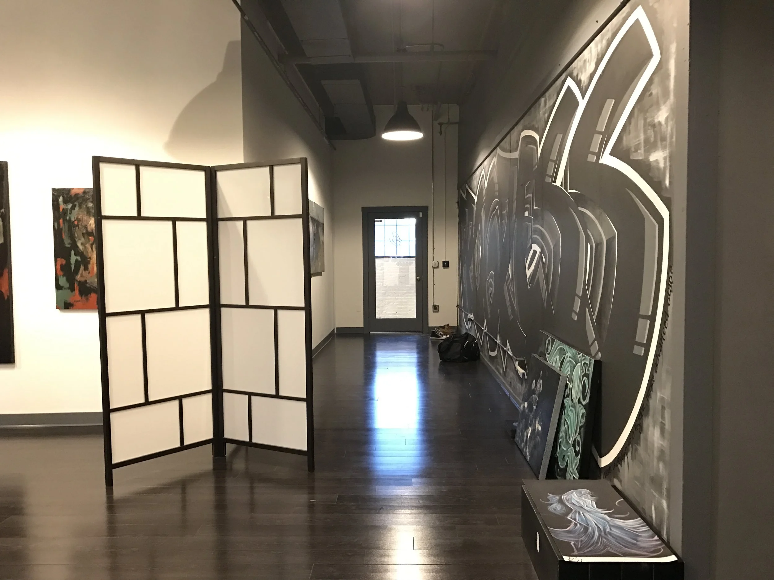  The mural on the right will be sheetrocked over on 2/11 and I will have a new wall clean there, thinking of track lighting above big art pieces along that wall. 