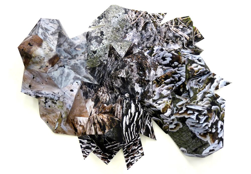 2008_geosysteme3.jpg