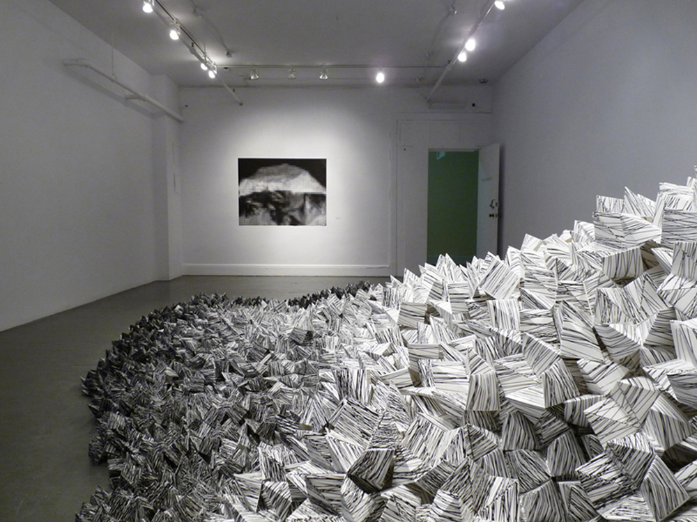 La débâcle , Galerie Les territoires, Montréal, QC, Canada, 2011