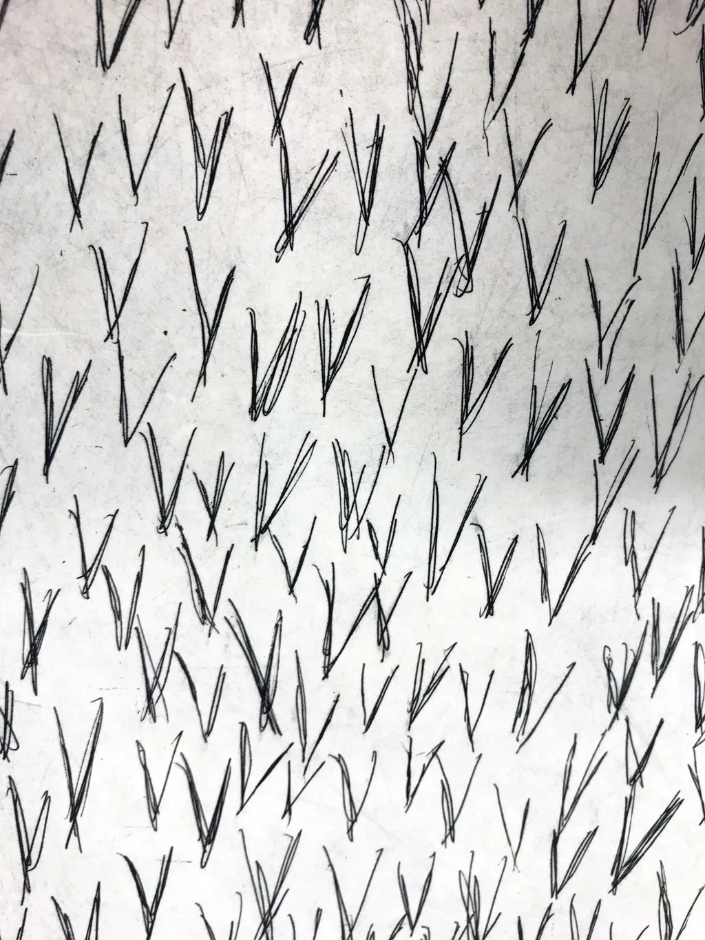 Détail : pointes