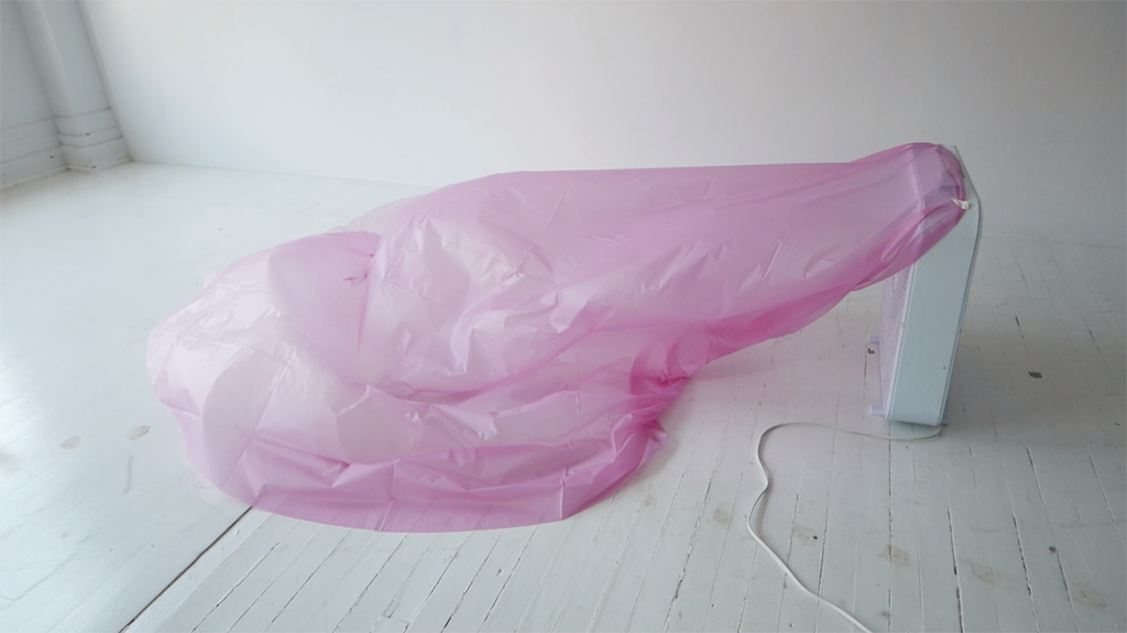 Image issue d’une captation vidéo.
