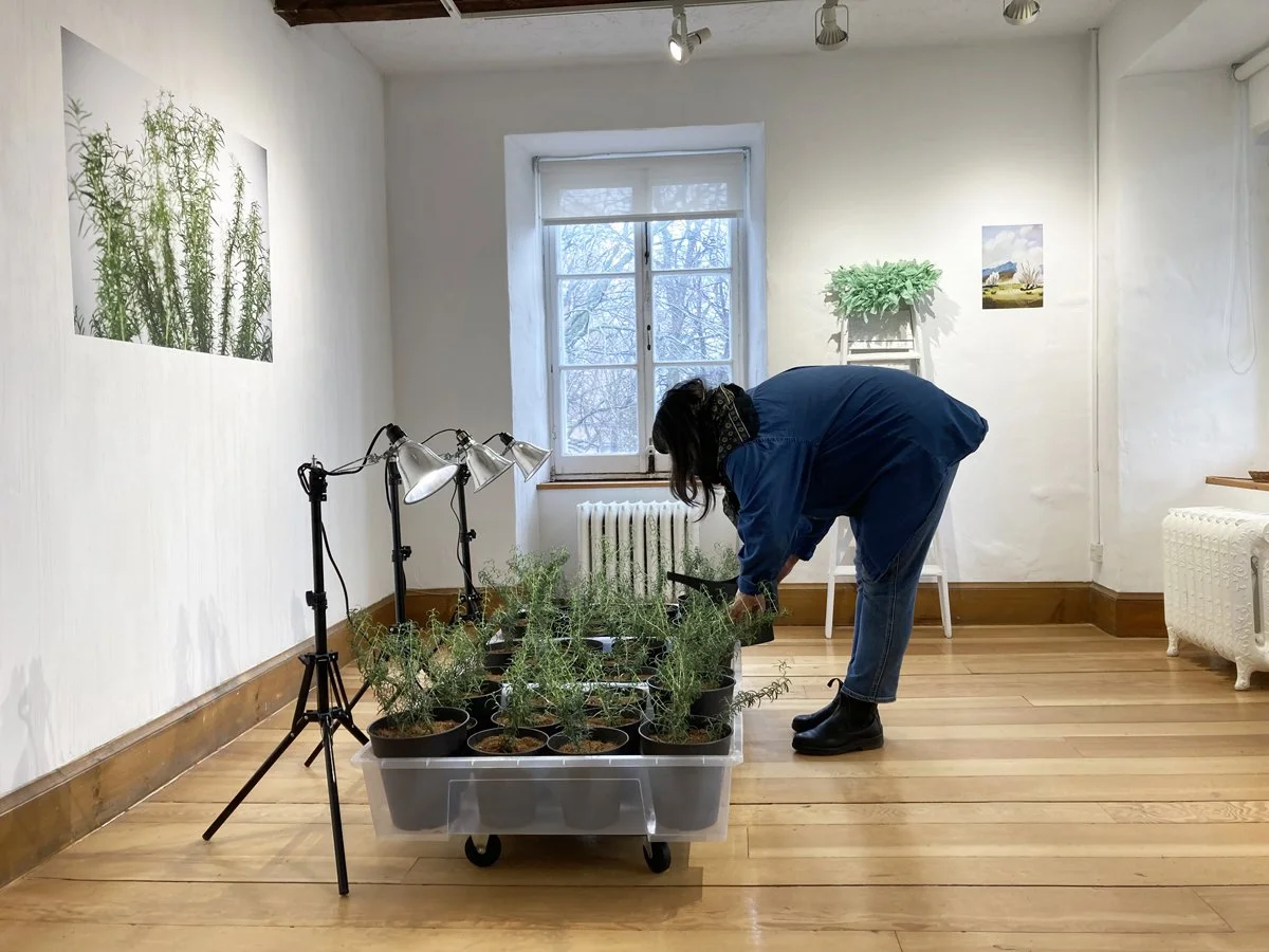 2022-04-09 13.31.06.jpg