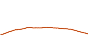 The attack/decay/sustain/release envelope of my ginger liqueur.