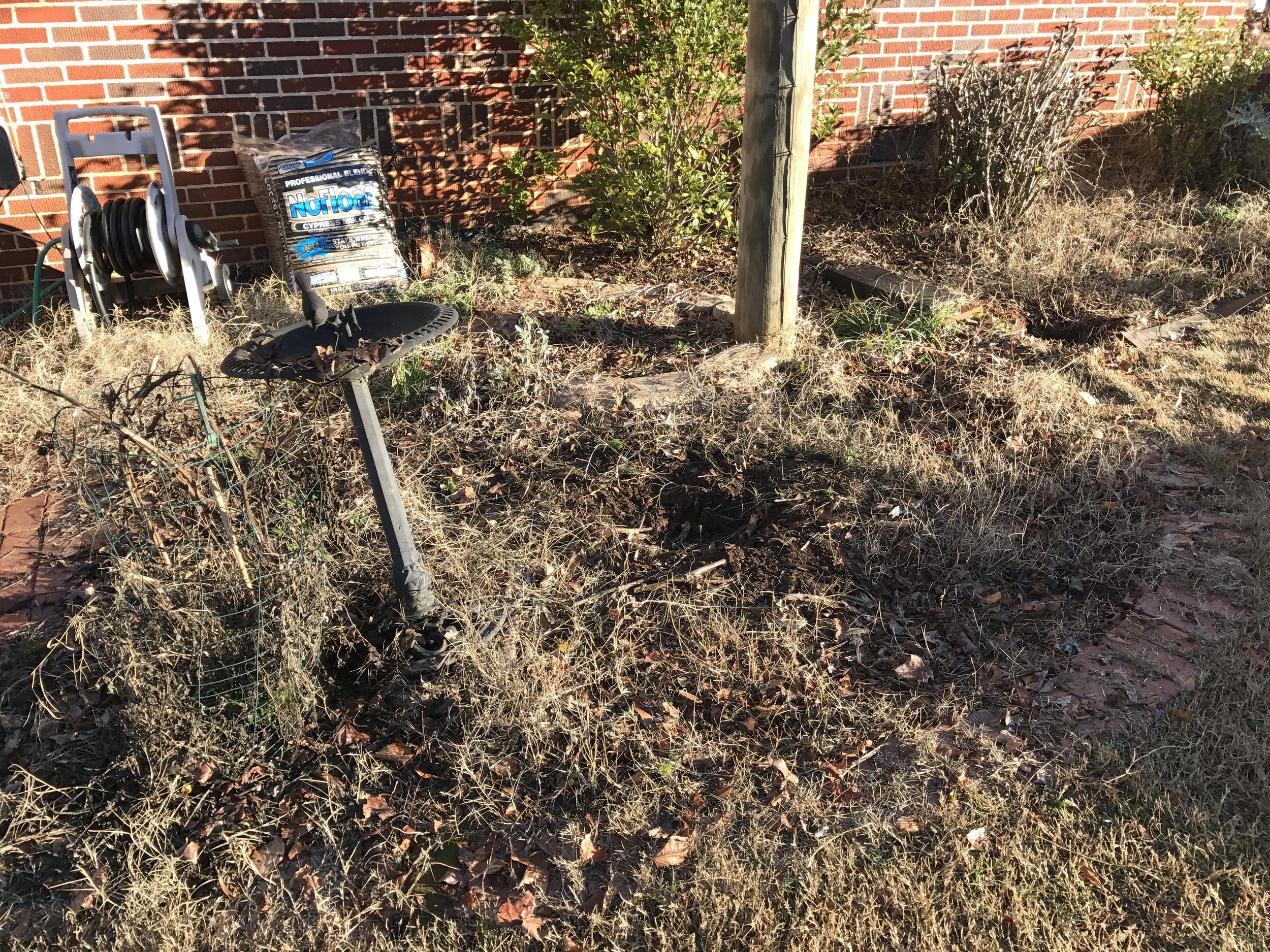 still to come: ripping out the overgrown grass, retilling the soil, etc.