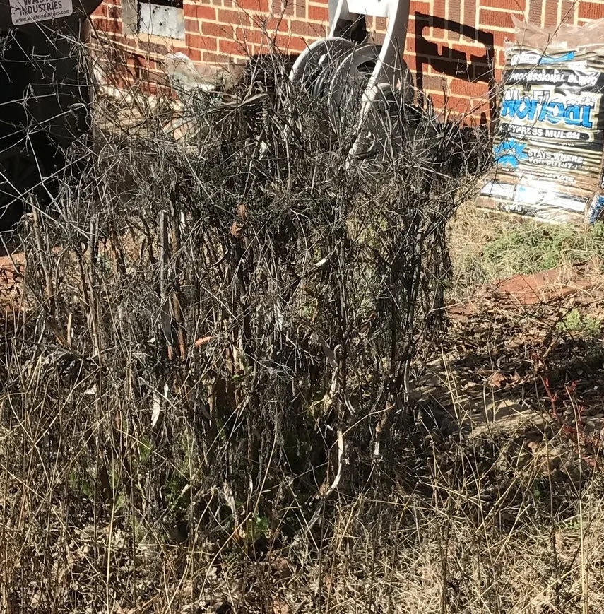 The ultimate SUCCESSIVE APPROXIMATION