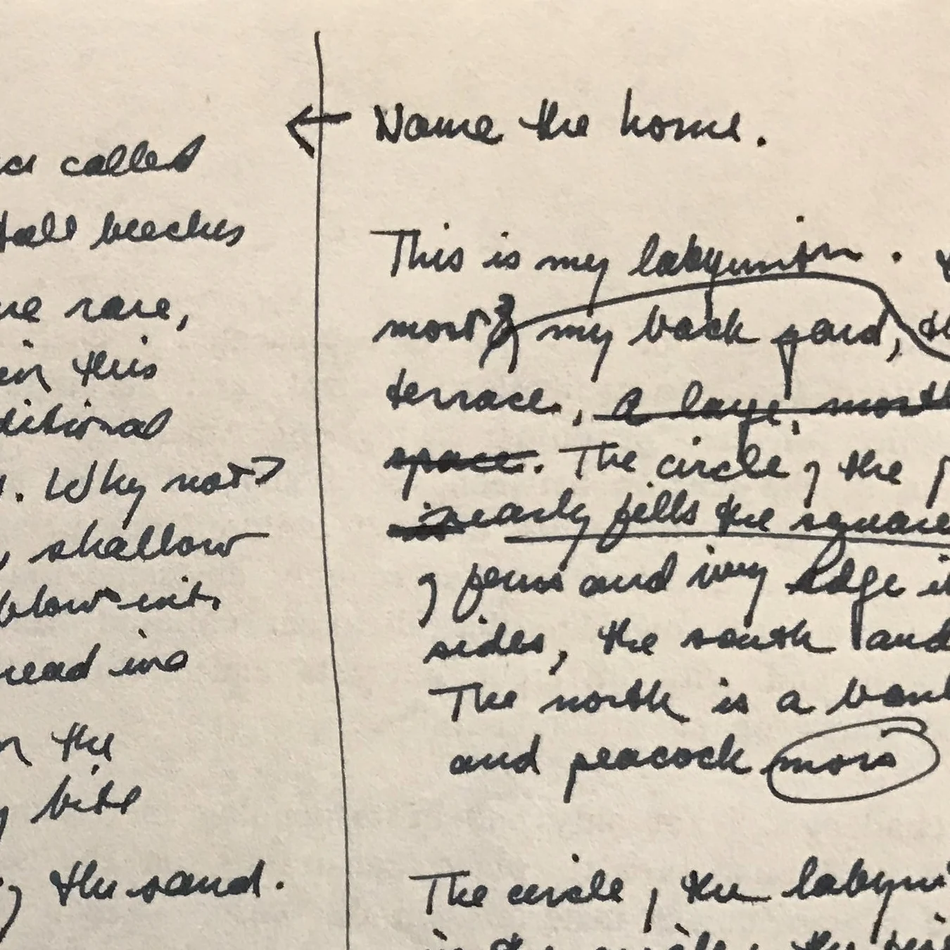 Stealing from Mary Oliver, pt. 2