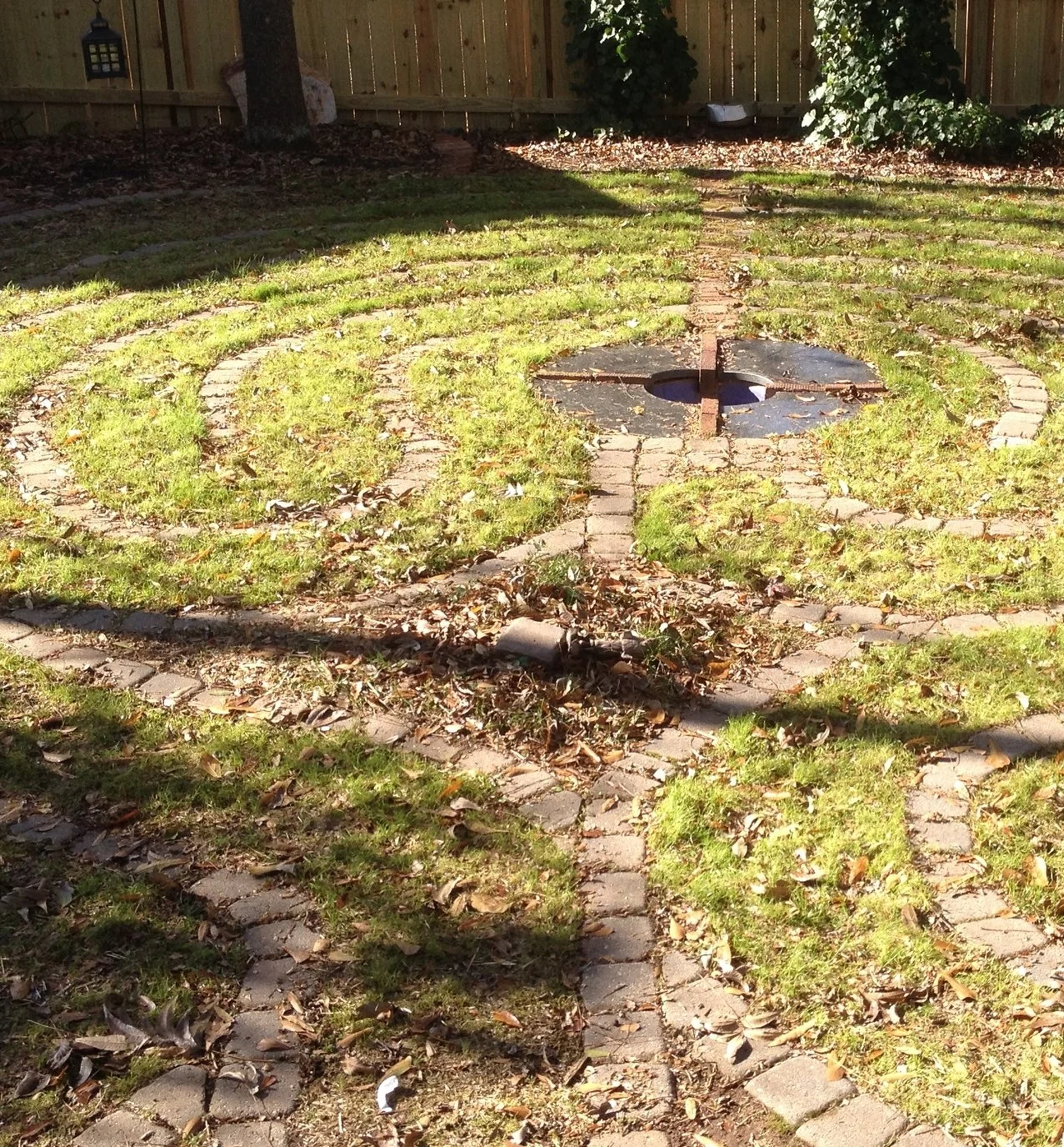 Stealing from Mary Oliver: Progress