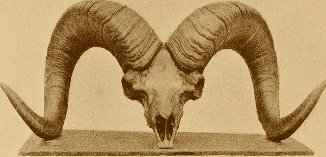 14726989636_65ae268d6e_z.jpg
