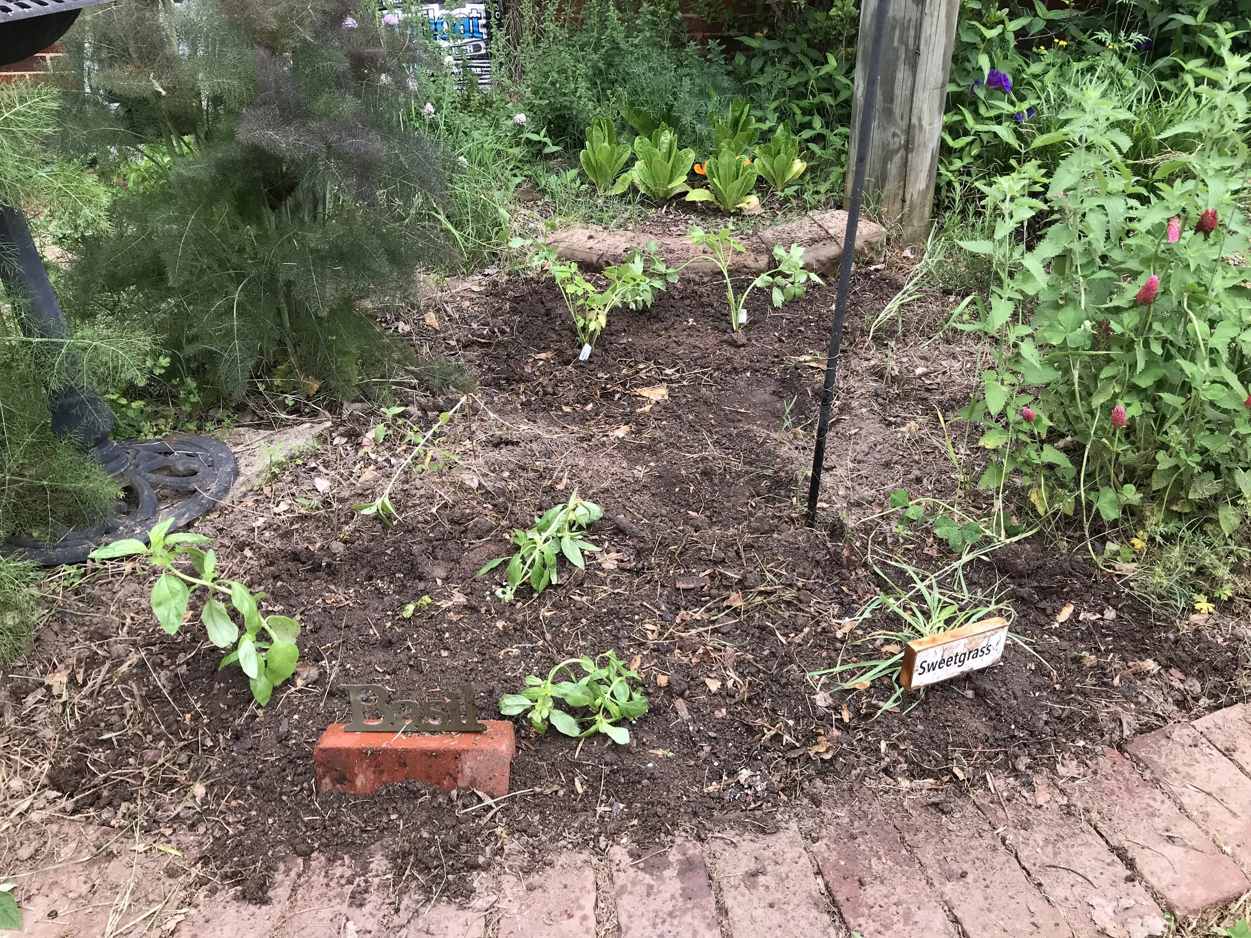 herbgarden18-9.jpg