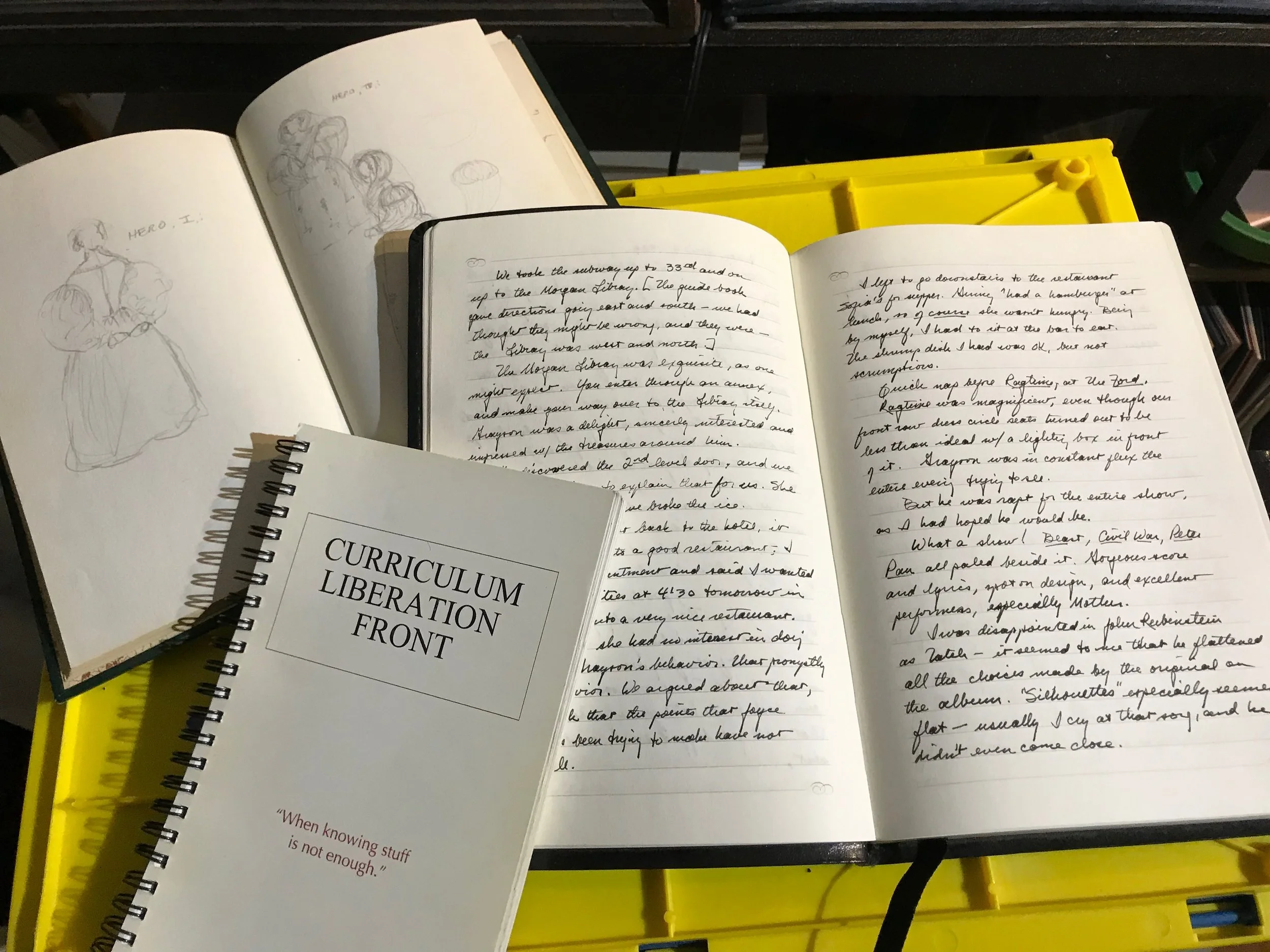 Not pictured: all those Moleskines from GHP, now in storage