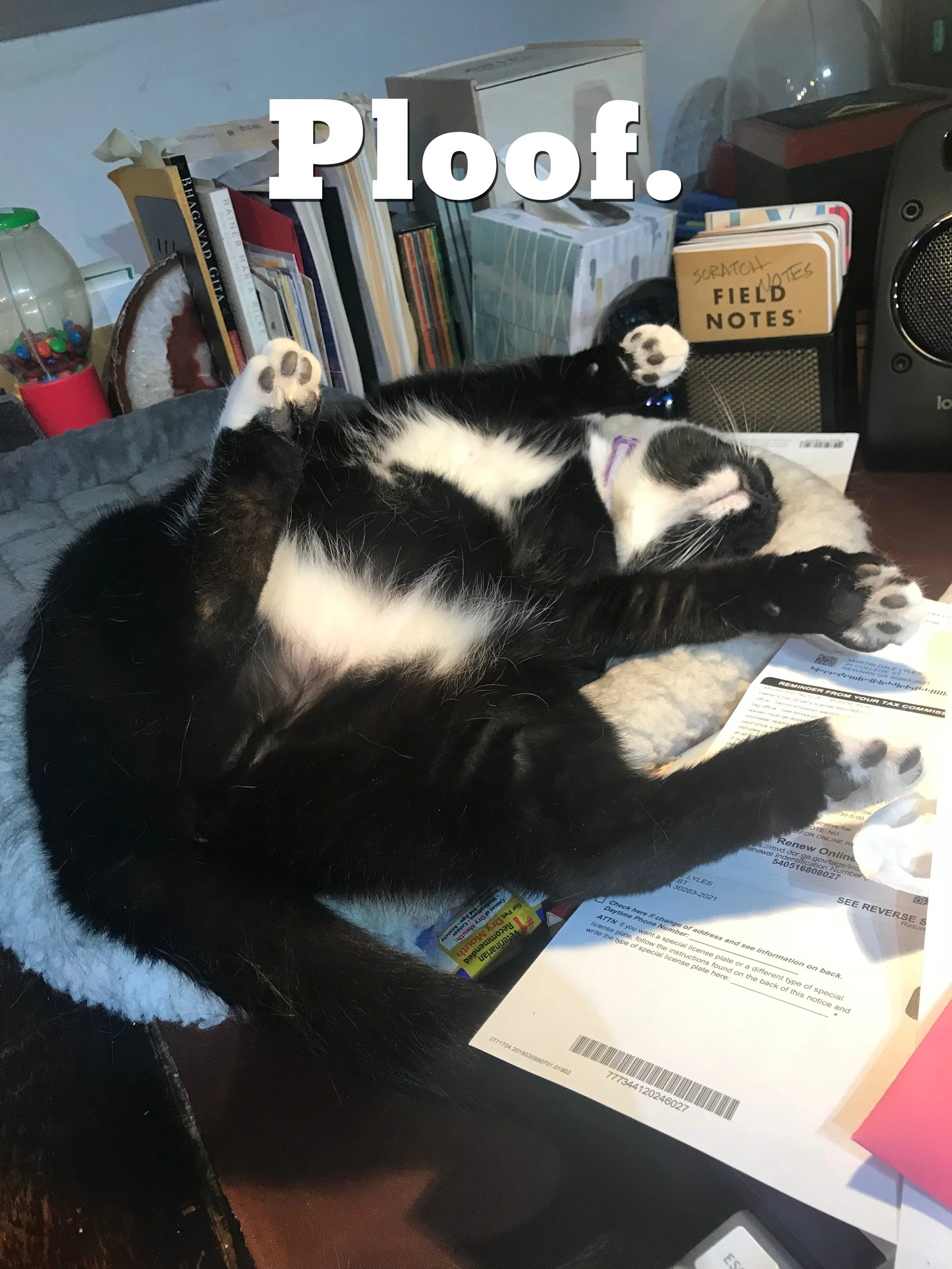 Abigail demonstrates the Full Ploof.