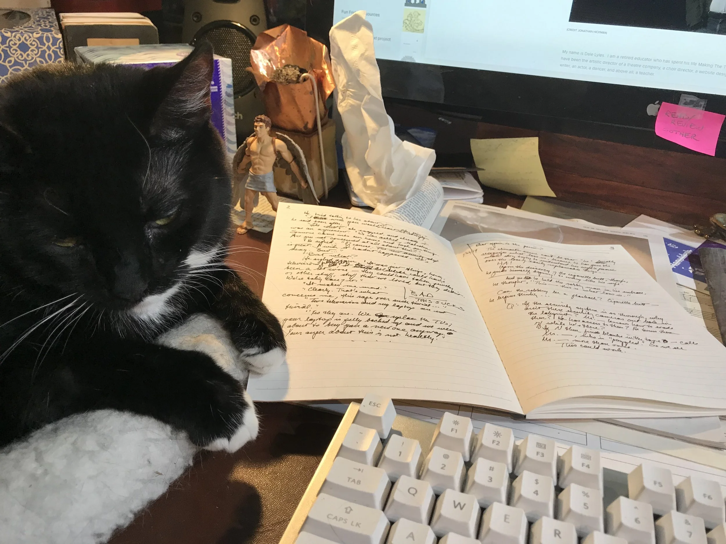 Abigail, the good and deserving kitty.