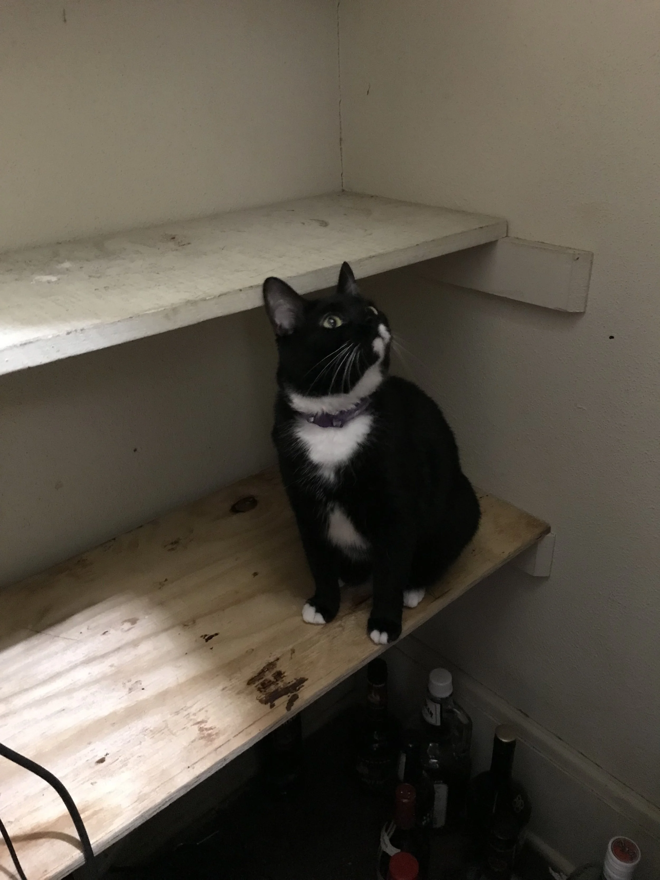 Inspection in progress