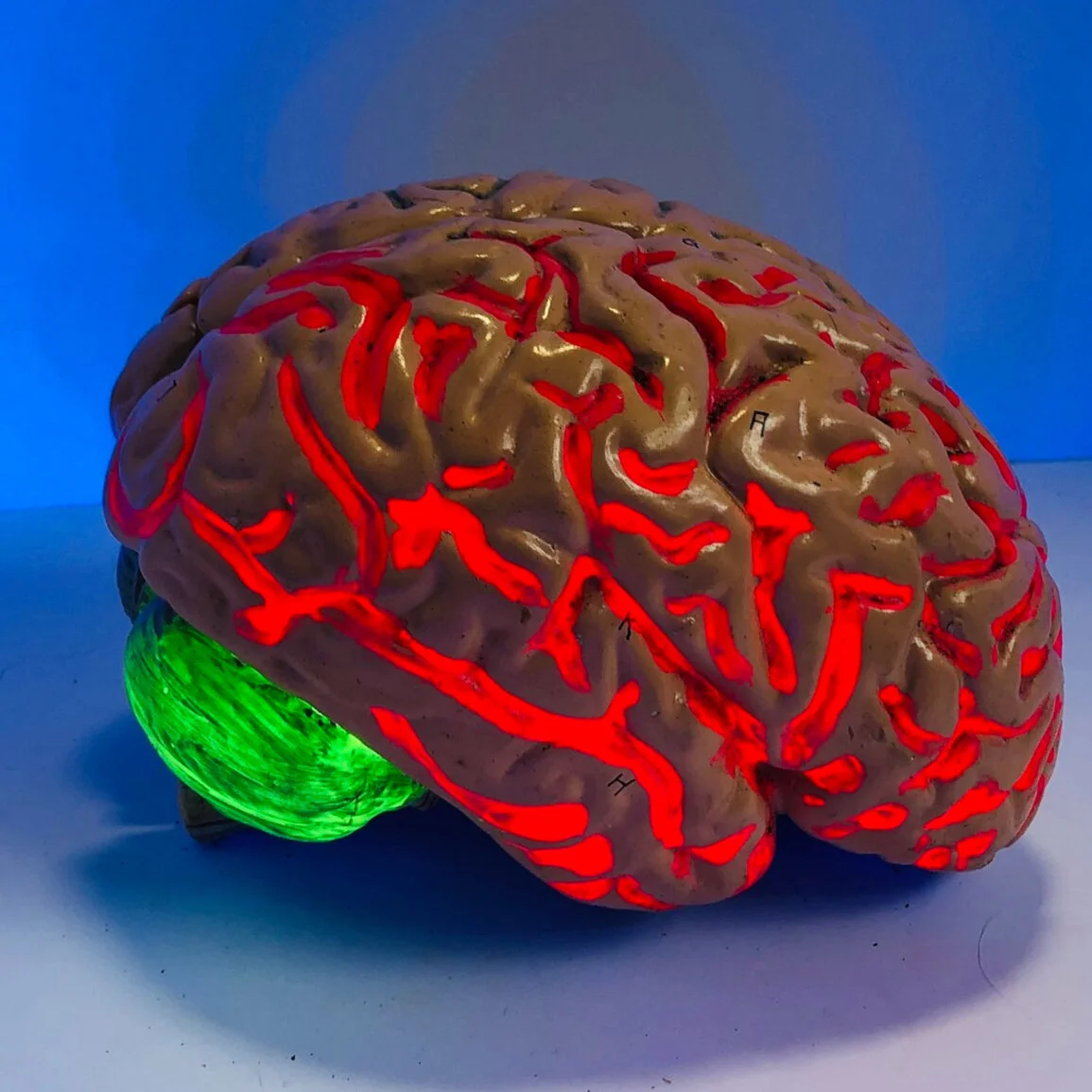 Fun Friday Resources