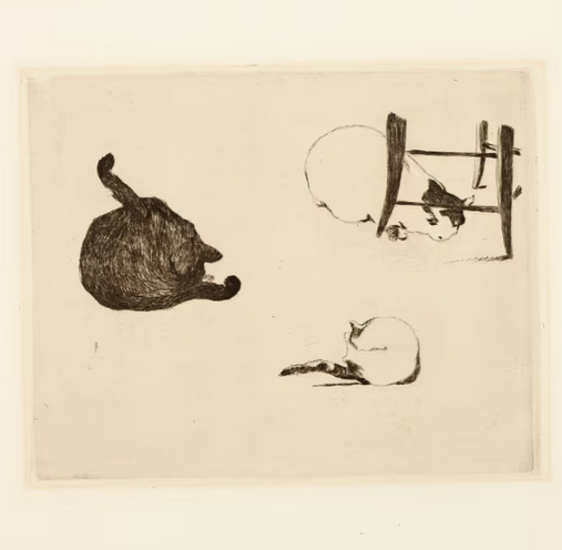 Fun Friday Resources