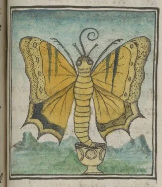 Fun Friday Resources