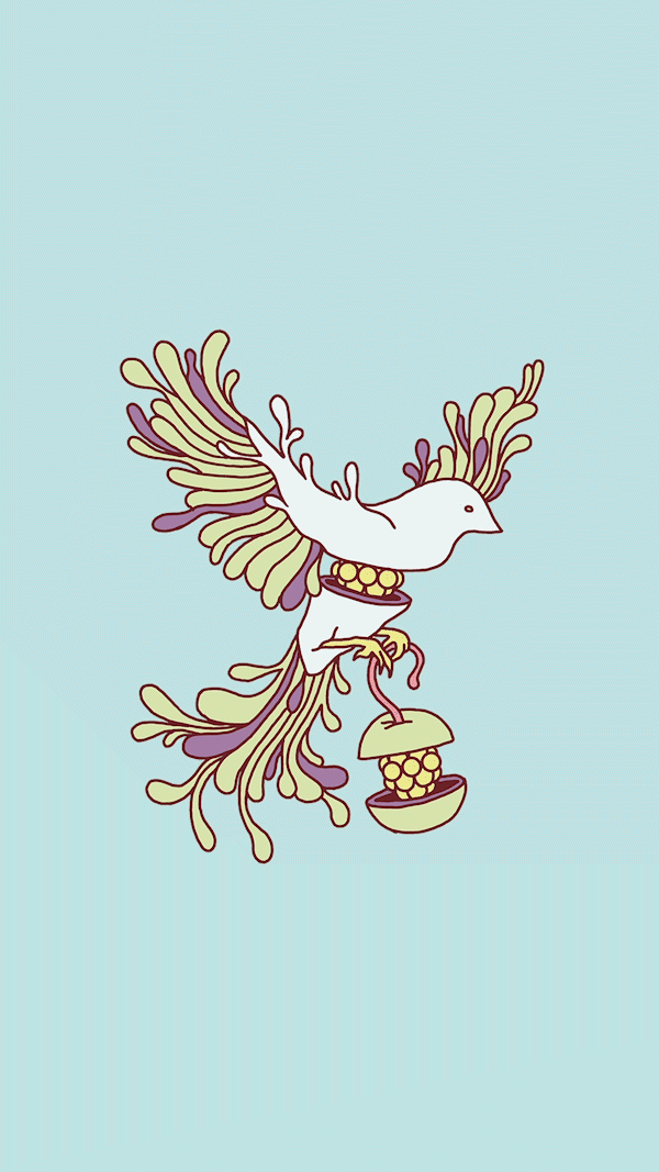 amorphia2025.gif