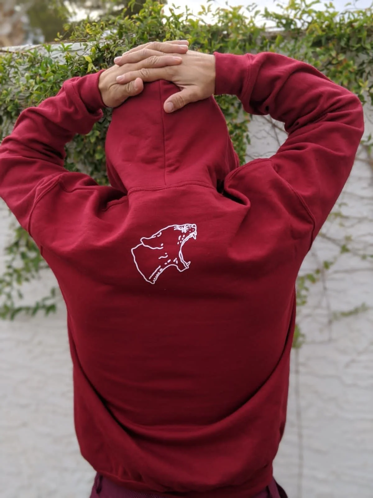 E52431B5-0456-4E94-A43B-17042FECB579