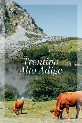 Trentino.jpg