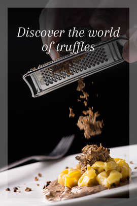 truffles.jpg