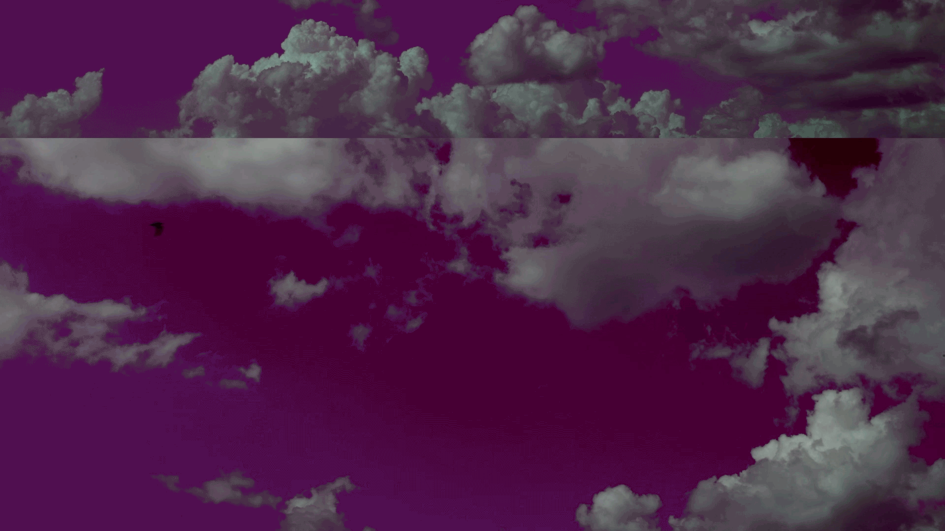 transparent-gif_4_3.gif