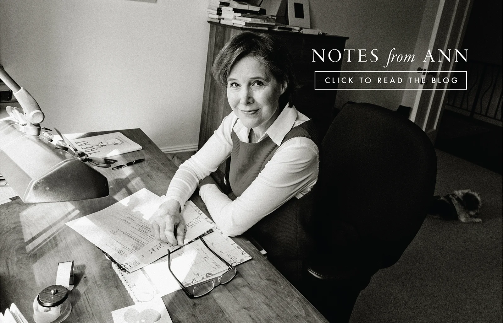 ann home slides notes from ann-01.jpg