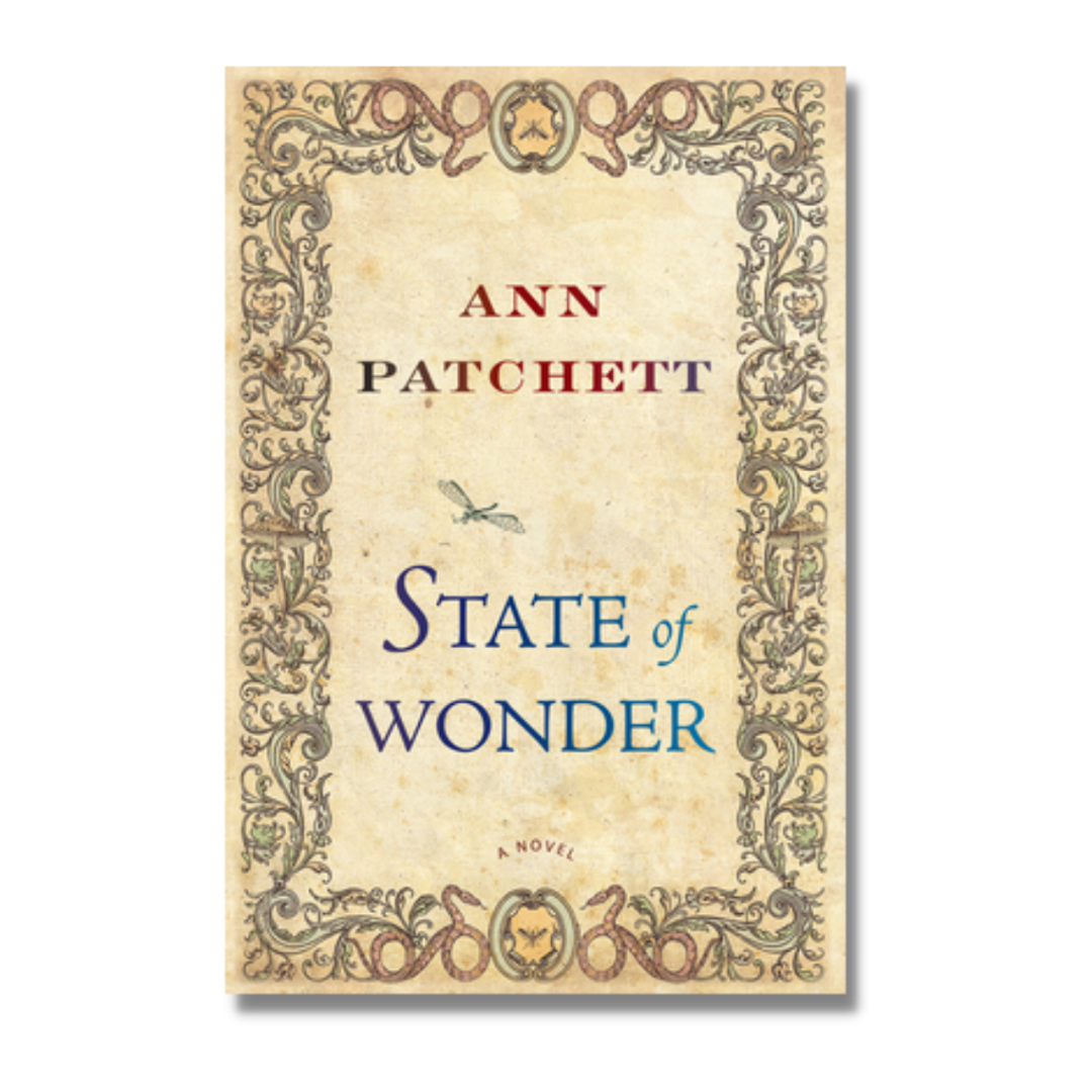 state of wonder ds.png