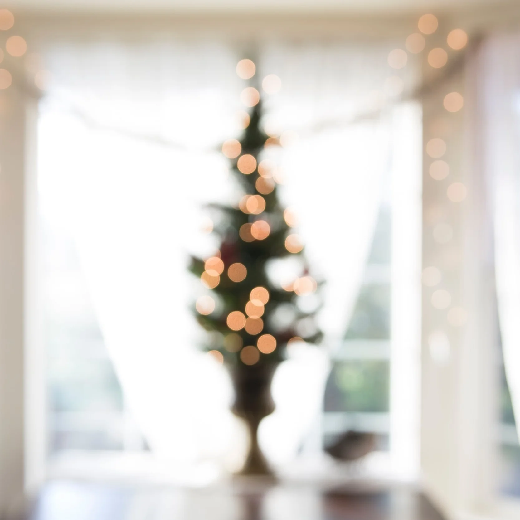 SoftFocusChristmasTree.jpg