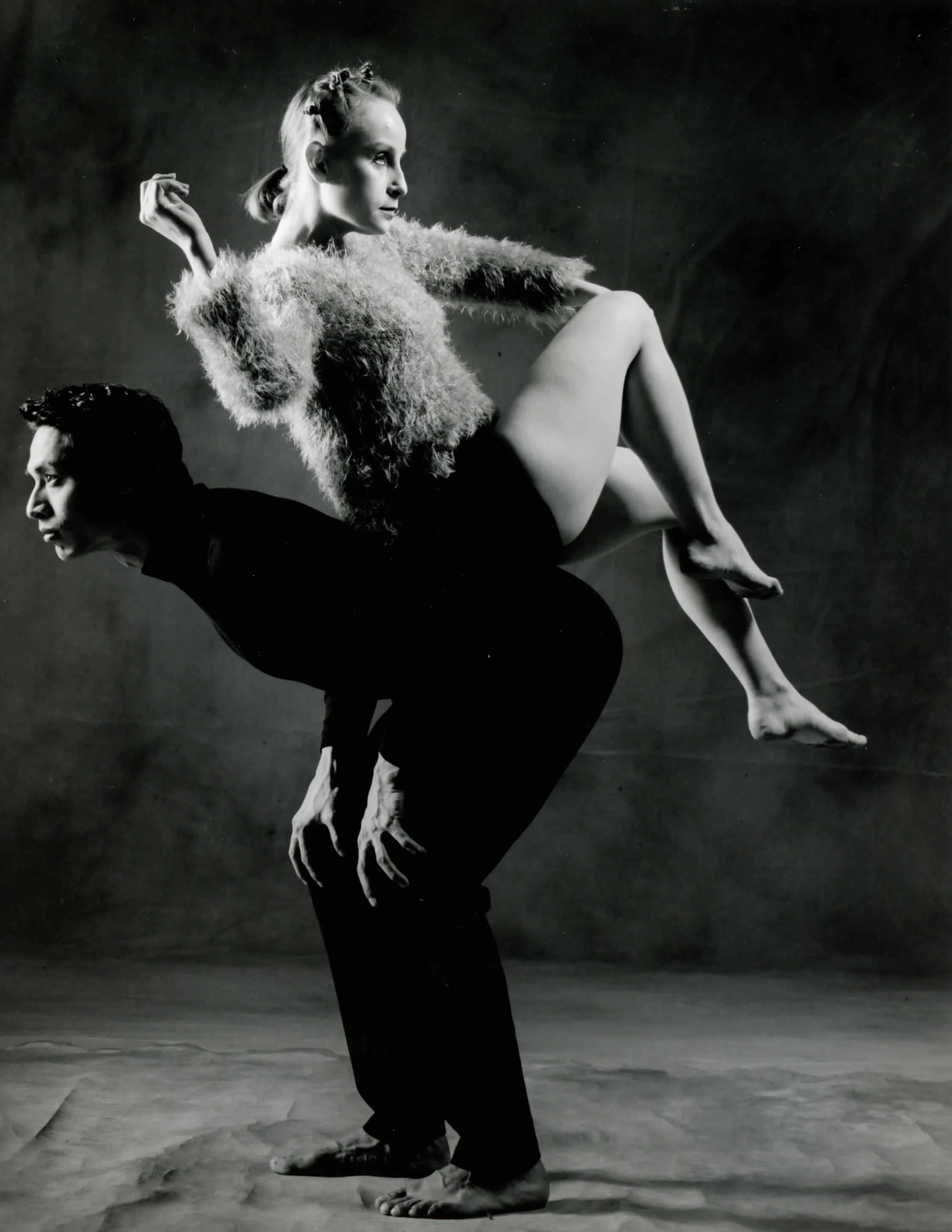 img261-cropped.jpg