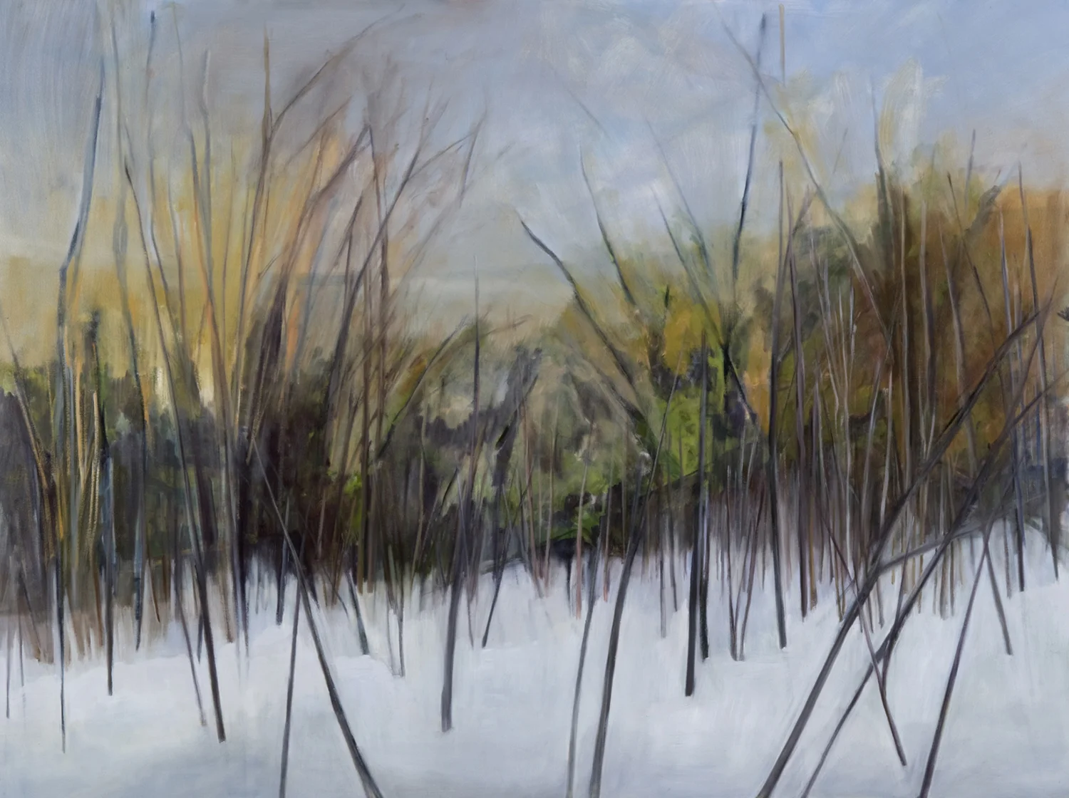 Early Winter , 2008, Oil on canvas, 54 x 72 inches (Private Collection, Fredericton, NB)