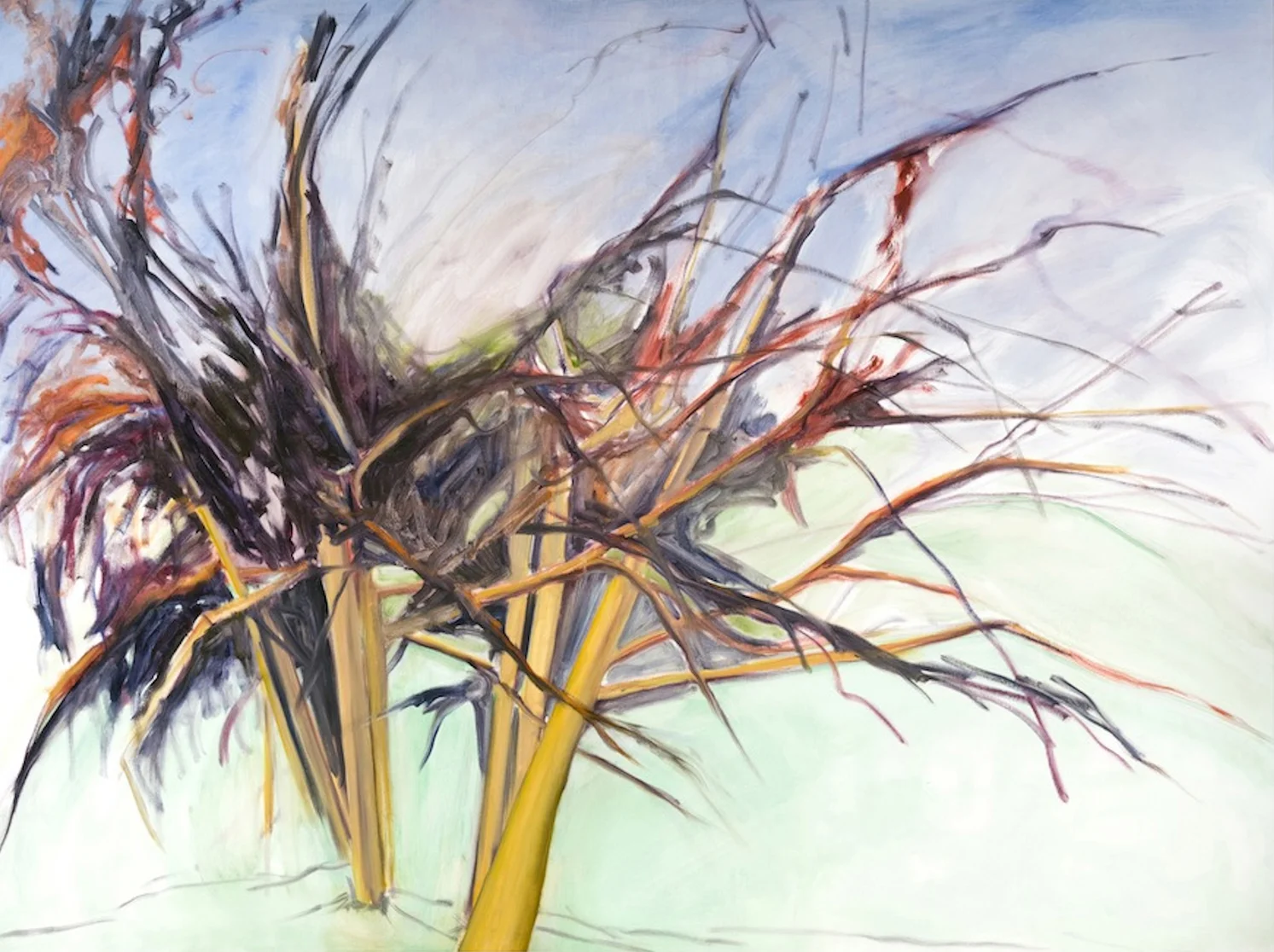 Arrabbiato , 2010, Oil on Canvas, 54 x 72 inches, (Private Collection, Toronto, Ont)