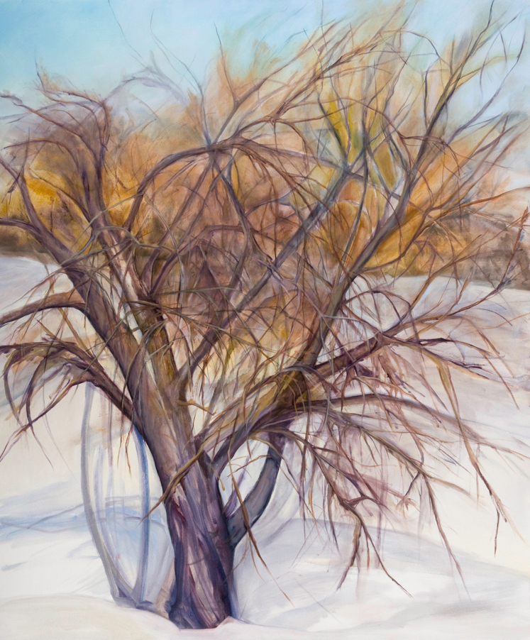 Albero Nudo , 2007, Oil on canvas, 72 x 60 inches