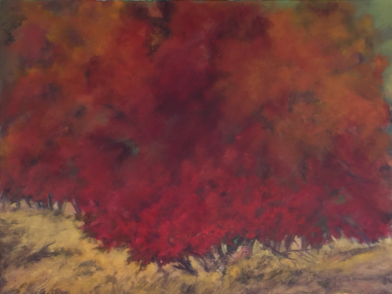 Hawthorns & Maples, Oil on canvas, 18 x 24 inches