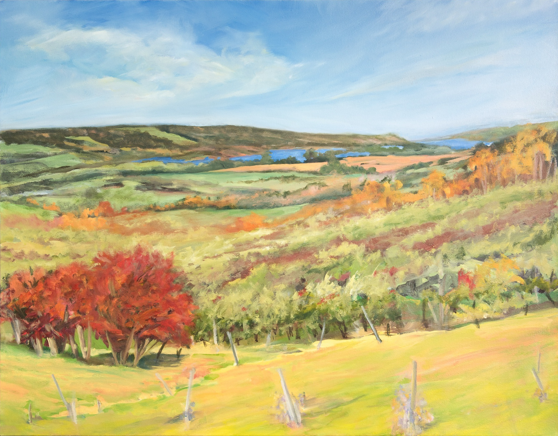 Hawthorns & Michaelmas , 2014, Oil on Canvas, 32 x 40 inches (Private Collection-Fredericton, NB)