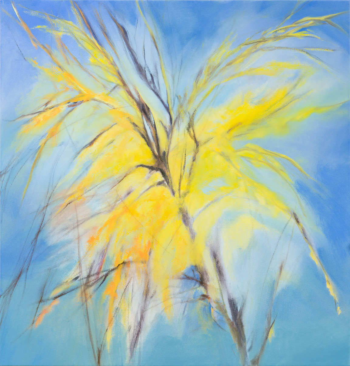 Like Lemon Drops , 27 x 26 inches Oil on canvas