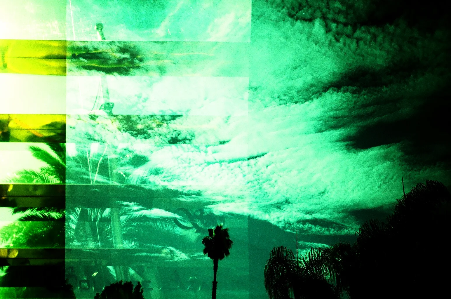 GREEN AND GOLD.JPG