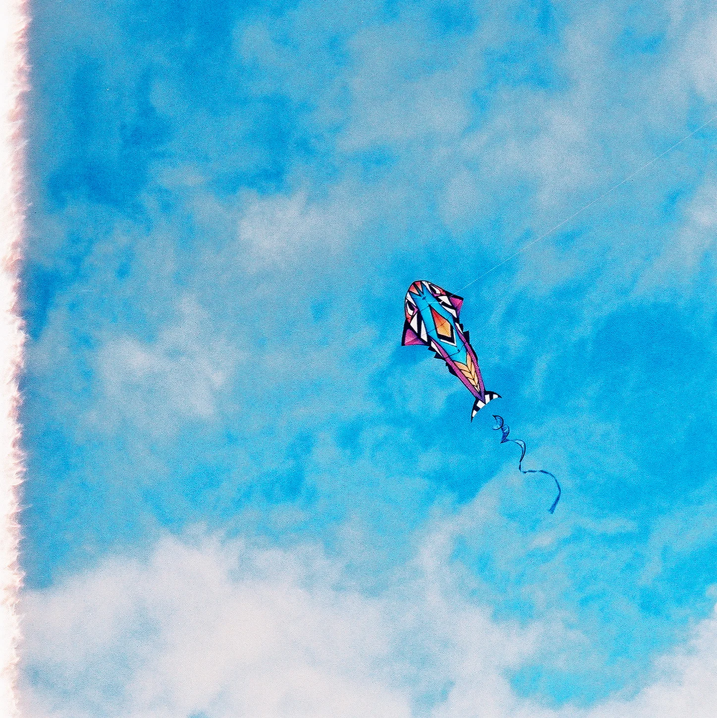 KITE 3.jpg