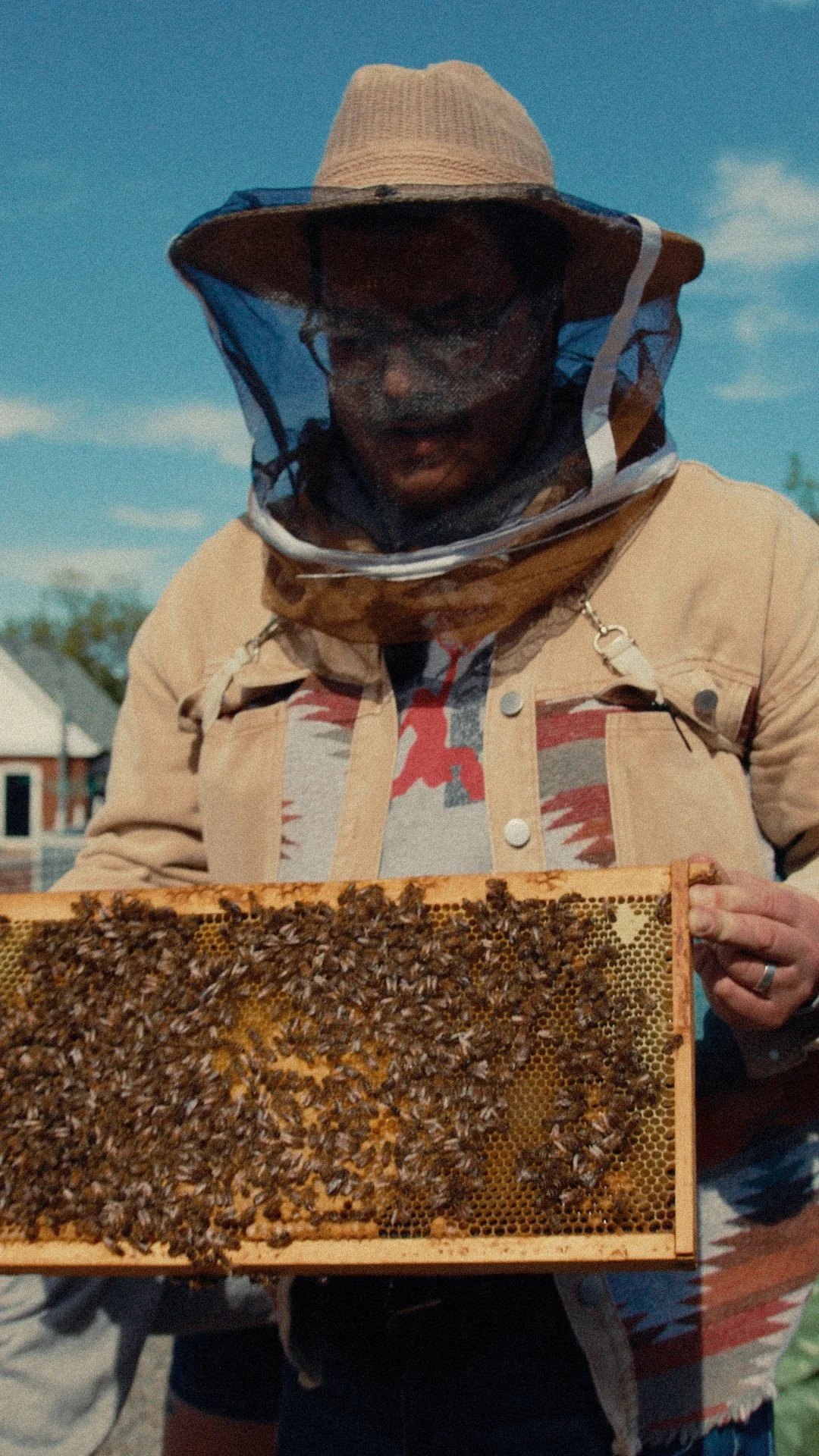 AMELIA'S MARKET - GREEN LINE HONEY