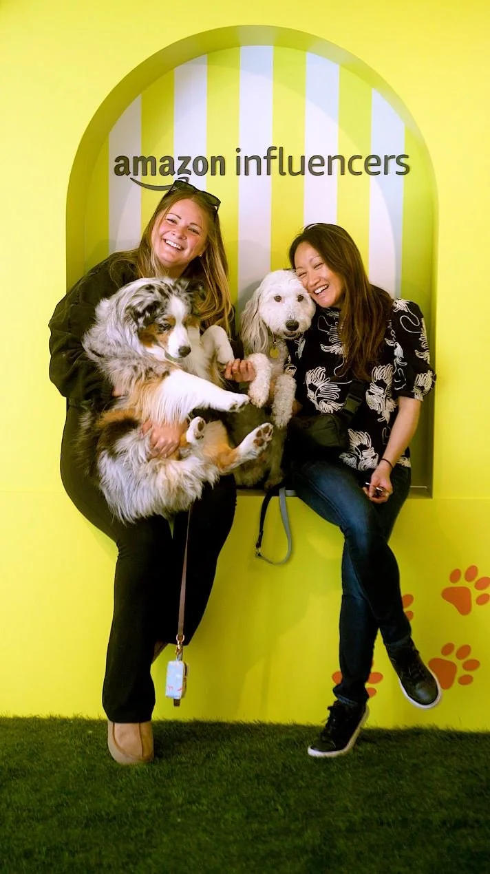 AMAZON PET DAY HIGHLIGHT