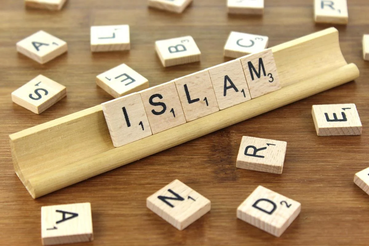 Issues - ZIAÏAN, Shodja Eddin (prof), L’État islamique continue à frapper, cr. opensource google .jpg