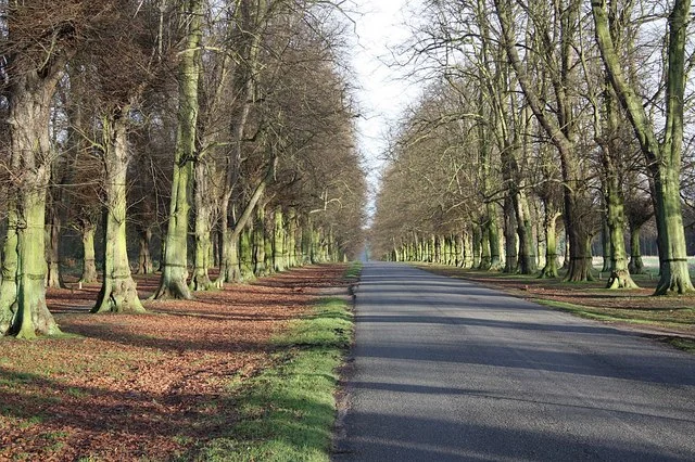 cr: Richard Croft; Wikimedia Commons
