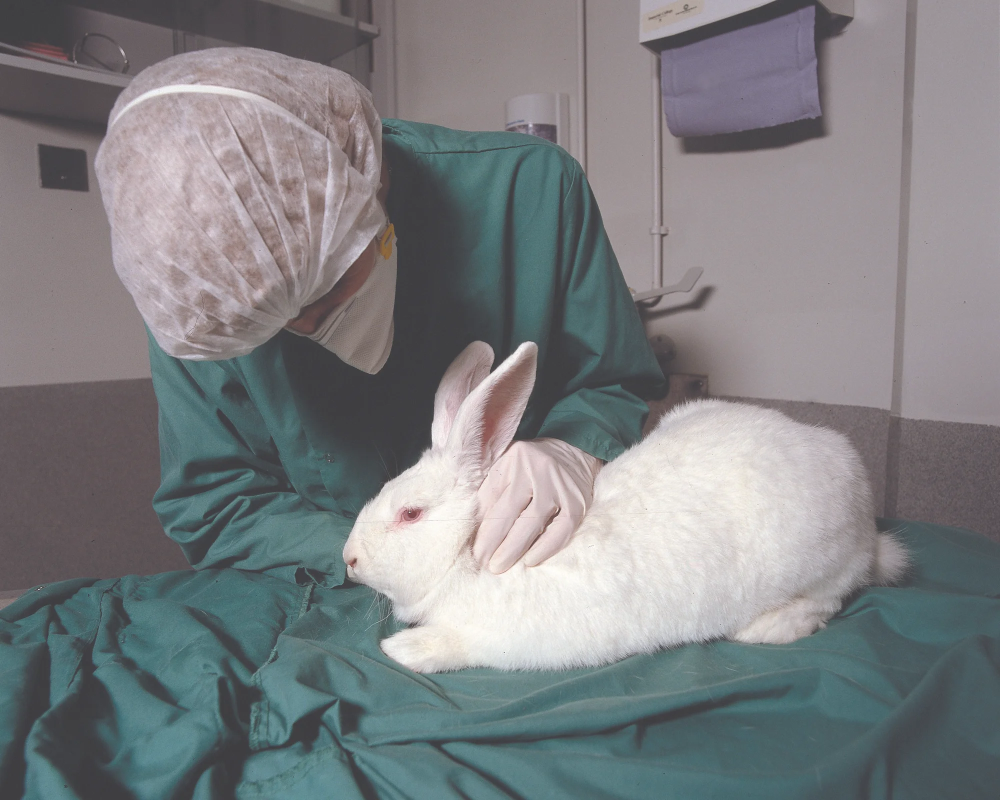Issues, animal testing, cr. google free.jpg