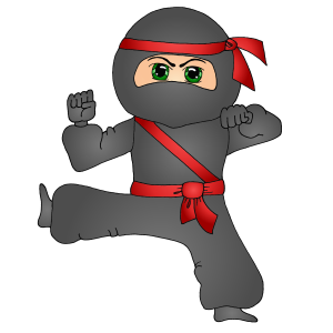 NINJA PIC.PNG