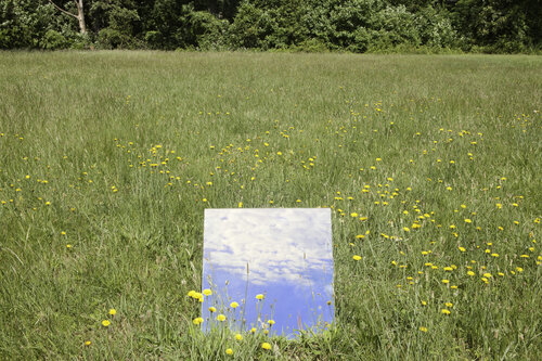 Field and Sky, Chester Park, 2020, archival pigment print