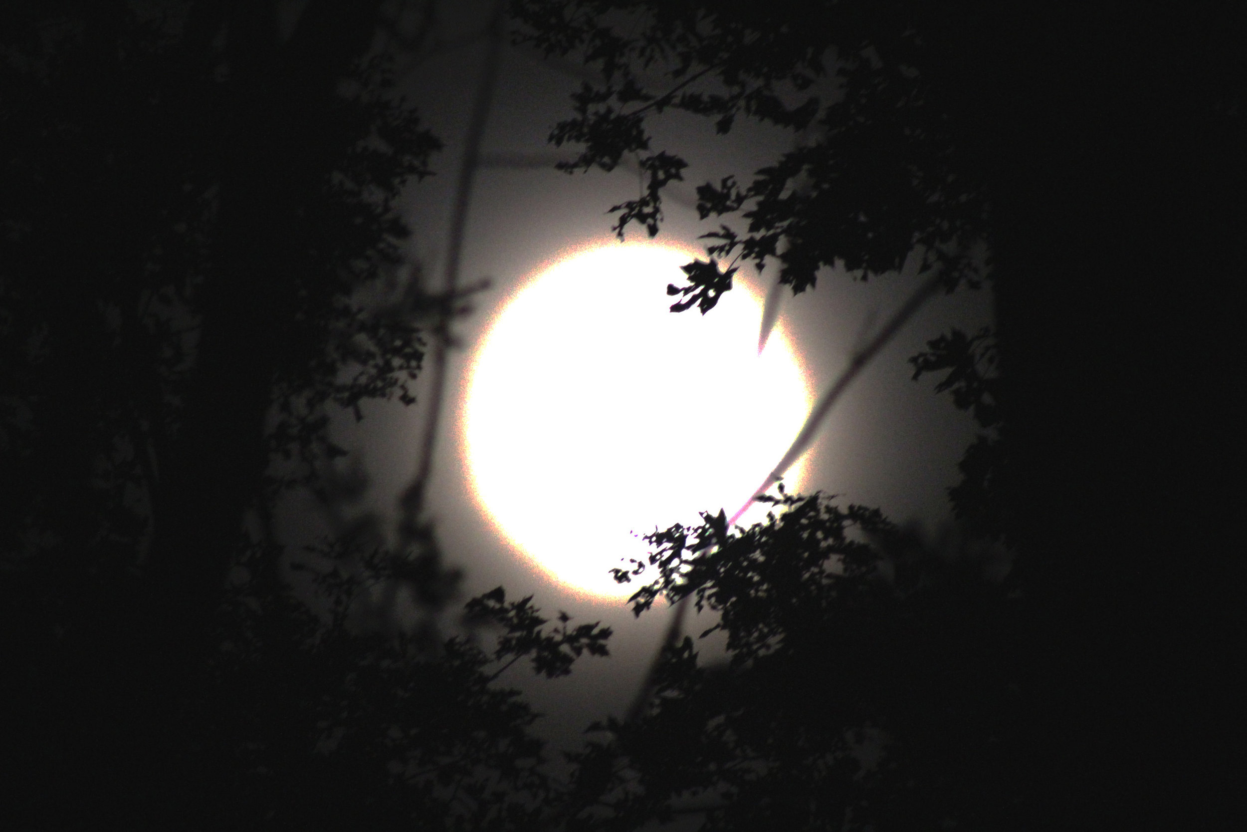 moon 4.jpg