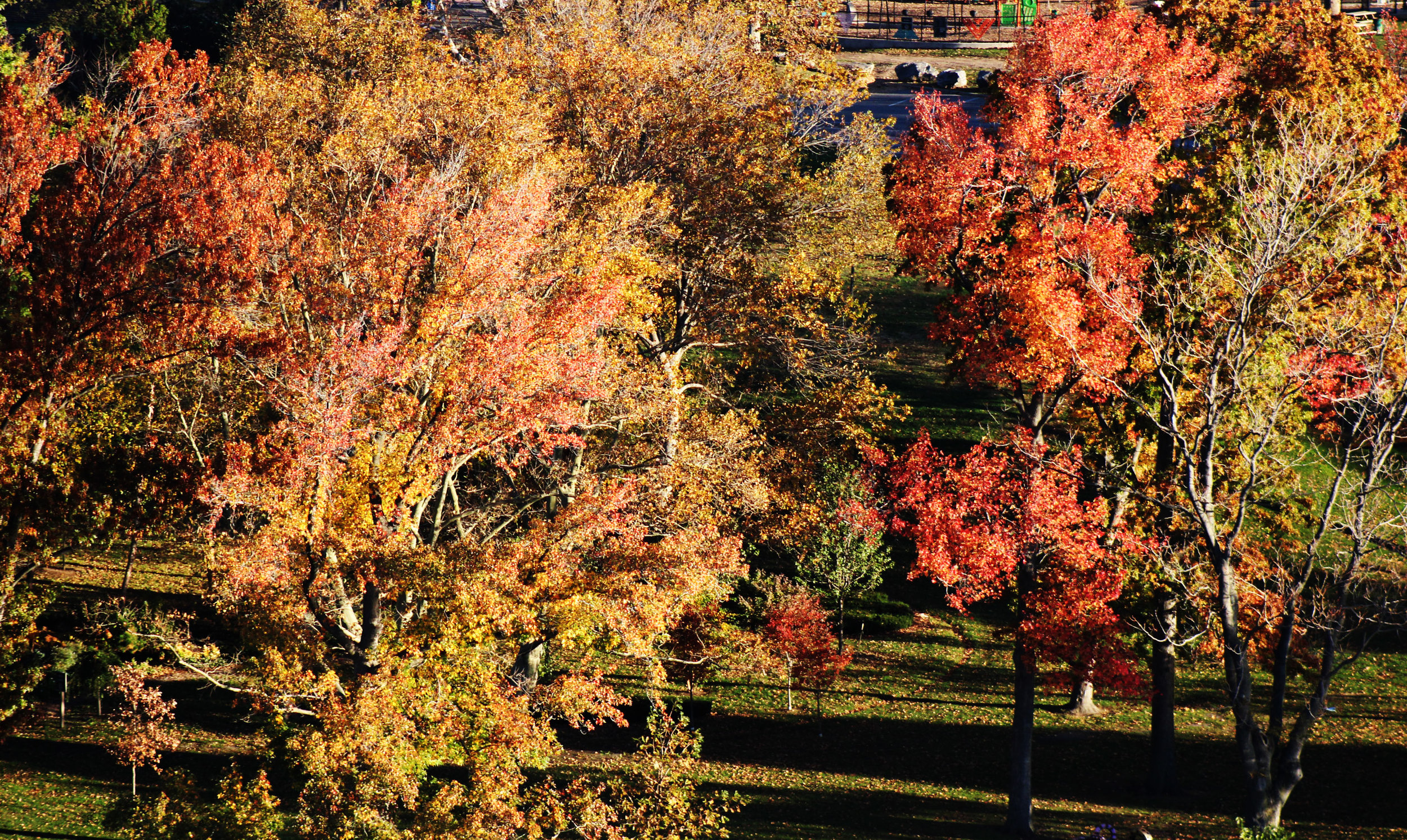 astoria park2.jpg