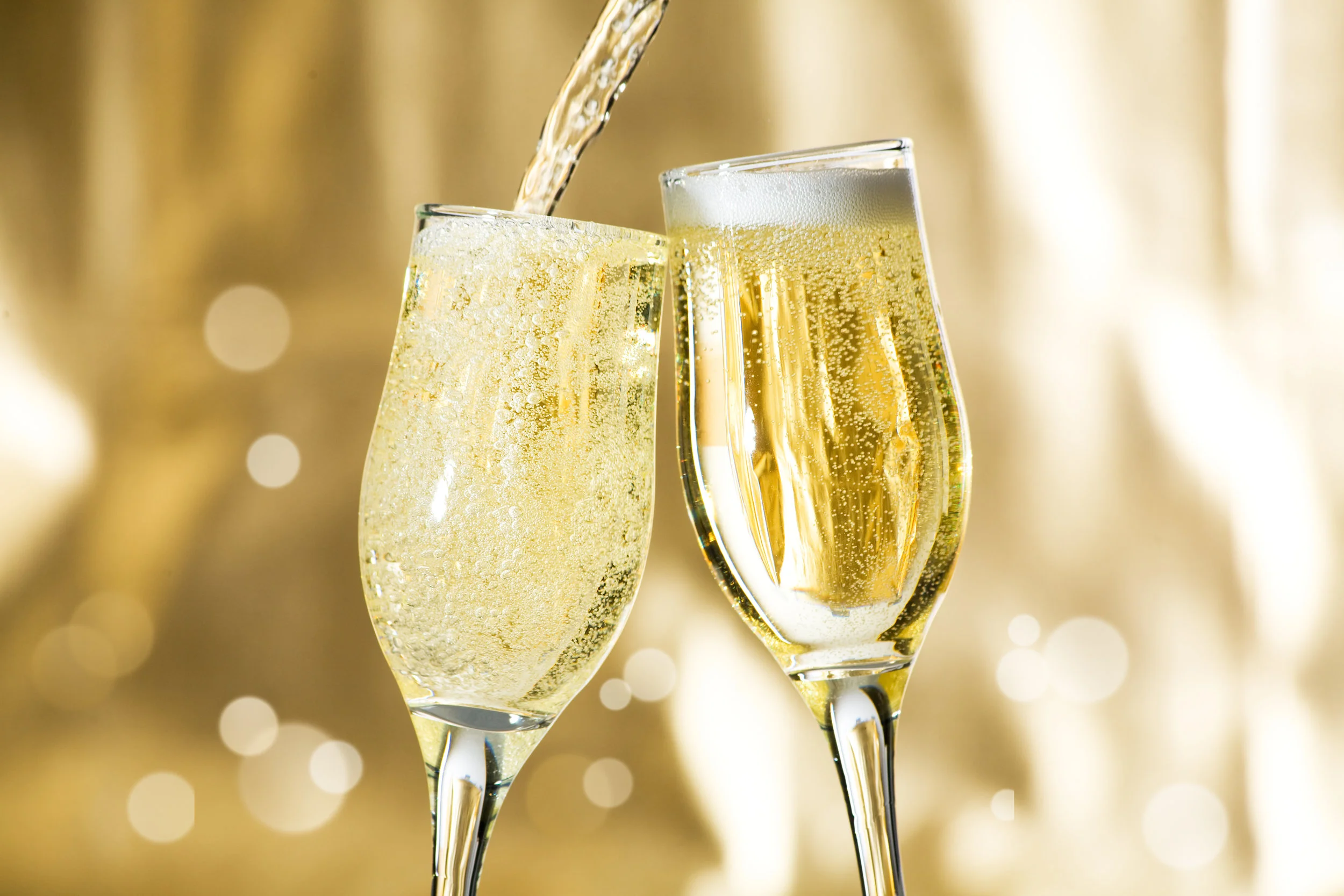 Everyone Wins! Enjoy bubbly champagne in your very own Stokes Nature Center wine glass and be entered to win fabulous prizes. Four rounds of prizes worth $700 - $1800