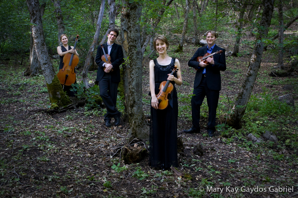 Fry Street Quartet's Concert in the Canyon