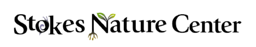Horizontal color logo.png