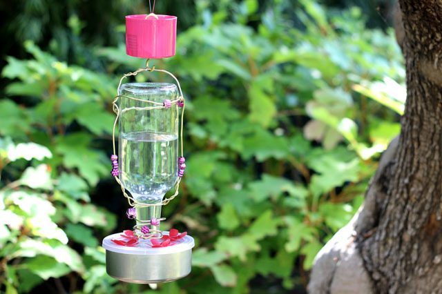 Hummingbird Feeder.jpg